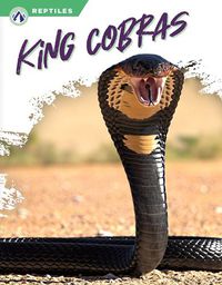 Cover image for King Cobras