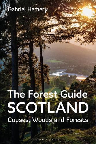 Cover image for The Forest Guide: Scotland: Copses, Woods and Forests of Scotland