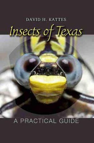 Cover image for Insects of Texas: A Practical Guide