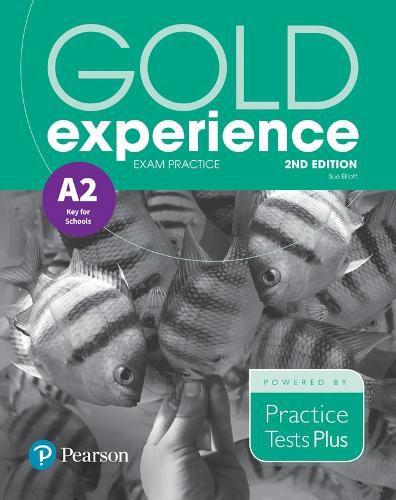 Cover image for Gold Experience 2nd Edition Exam Practice: Cambridge English Key for Schools (A2)