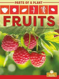 Cover image for Fruits