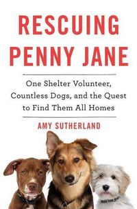 Cover image for Rescuing Penny Jane