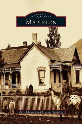 Cover image for Mapleton