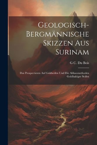 Cover image for Geologisch-Bergmaennische Skizzen Aus Surinam