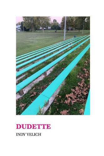 Cover image for Dudette