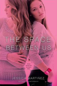 Cover image for The Space Between Us