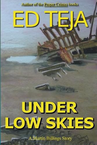 Cover image for Under Low Skies