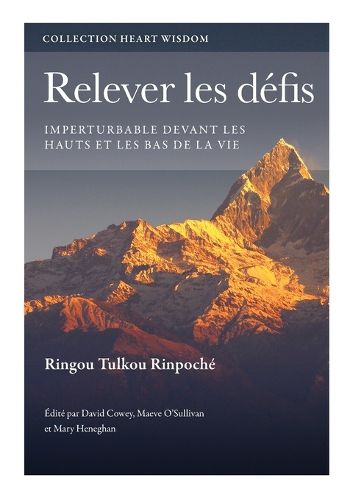 Cover image for Relever les defis