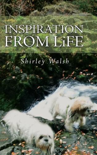 Cover image for Inspiration from Life