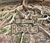 Cover image for All about Roots