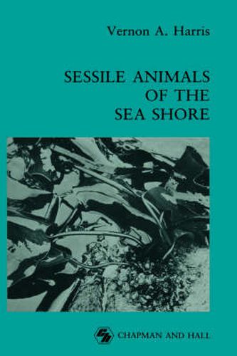 Cover image for Sessile Animals of the Sea Shore