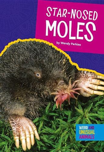 Cover image for Star-Nosed Moles