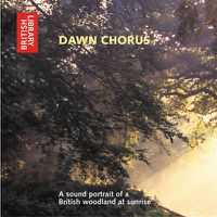 Cover image for Dawn Chorus: A Sound Portrait of a British Woodland at Sunrise