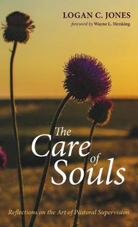 Cover image for The Care of Souls: Reflections on the Art of Pastoral Supervision