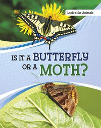 Cover image for Is It a Butterfly or a Moth?