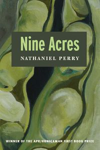 Cover image for Nine Acres