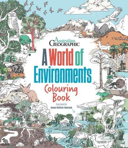 Cover image for A World Of Environments: Colouring Book
