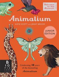 Cover image for Animalium (Junior Edition)