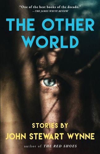 Cover image for The Other World