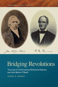 Cover image for Bridging Revolutions