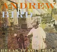 Cover image for Break It Yourself