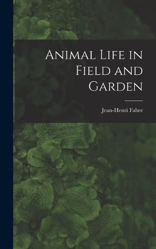 Animal Life in Field and Garden