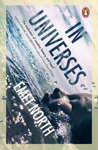 Cover image for In Universes