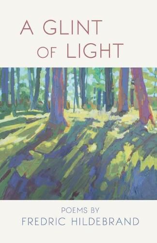 Cover image for A Glint of Light