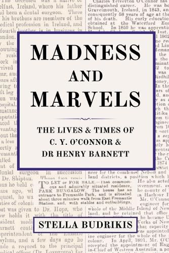 Cover image for Madness and Marvels