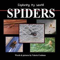 Cover image for Exploring My World: Spiders