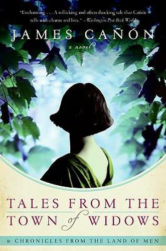 Cover image for Tales from the Town of Widows