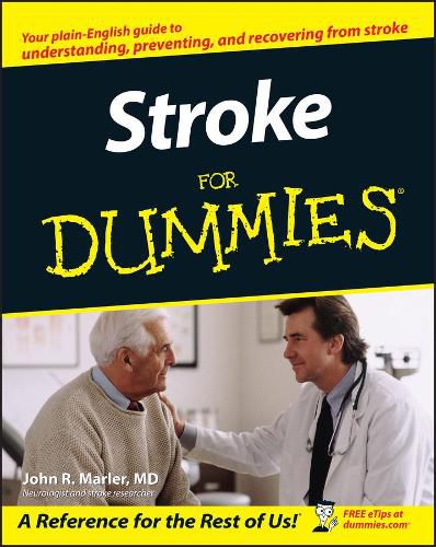 Cover image for Strokes For Dummies