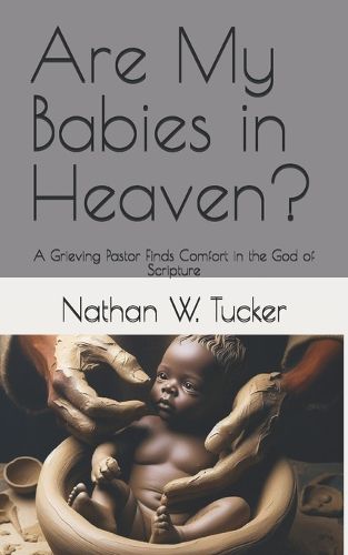 Cover image for Are My Babies in Heaven?