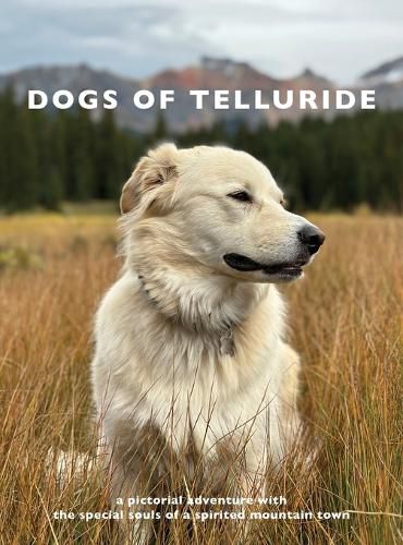 Cover image for Dogs of Telluride
