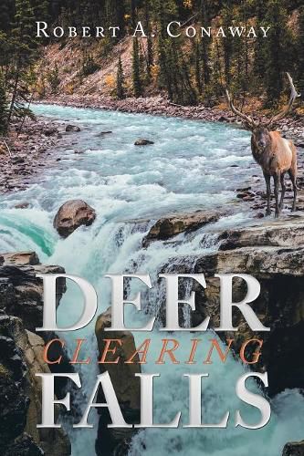Cover image for Deer Clearing Falls