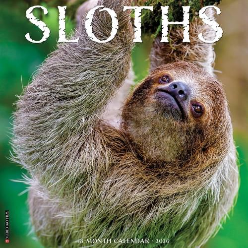 Cover image for Sloths 2026 12 X 12 Wall Calendar