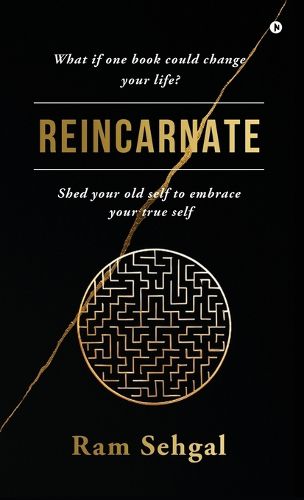 Cover image for Reincarnate