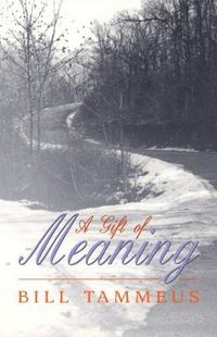 Cover image for A Gift of Meaning