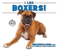 Cover image for I Like Boxers!