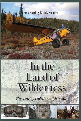 Cover image for In the Land of Wilderness