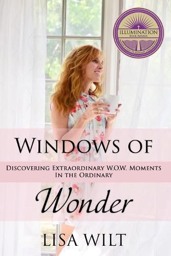 Cover image for Windows of Wonder: Discovering Extraordinary W.O.W. Moments in the Ordinary