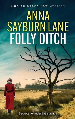 Cover image for Folly Ditch