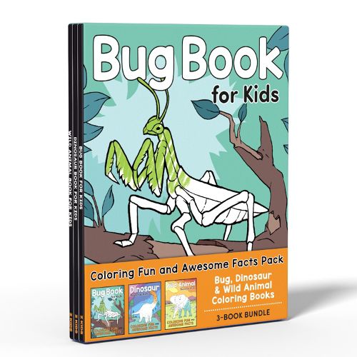 Cover image for Coloring Book Box Set