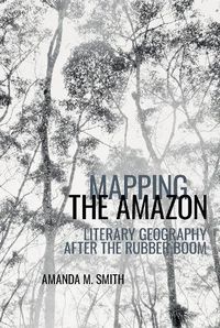 Cover image for Mapping the Amazon: Literary Geography after the Rubber Boom