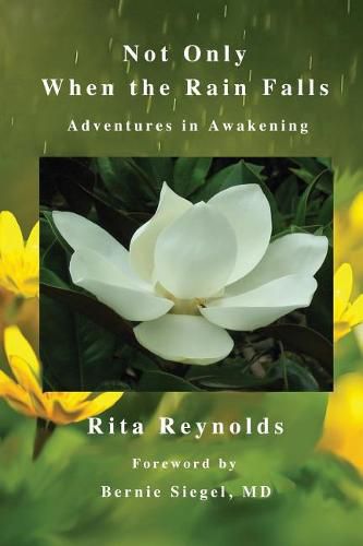 Cover image for Not Only When The Rain Falls: Adventures in Awakening