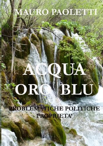 Cover image for ACQUA ORO BLU Probelmatiche Politiche Propriet^