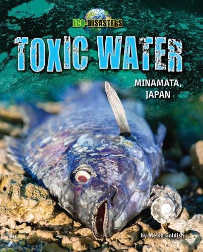 Cover image for Toxic Water: Minamata, Japan