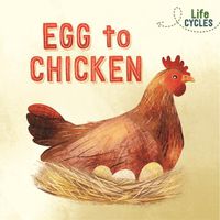 Cover image for Life Cycles: Egg to Chicken