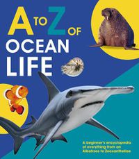 Cover image for A to Z of Ocean Life