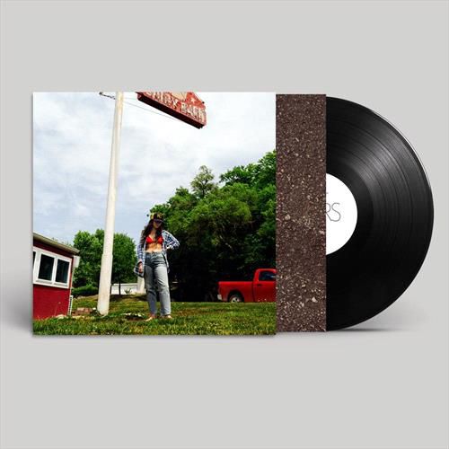 Cover image for Tigers Blood